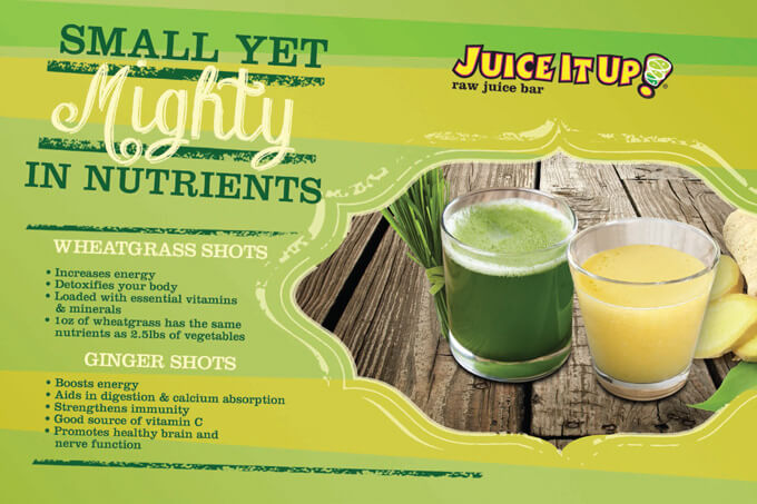 Small yet mighty in nutrients - Wheatgrass Shots and Ginger Shots