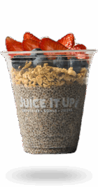 original chia pudding parfait